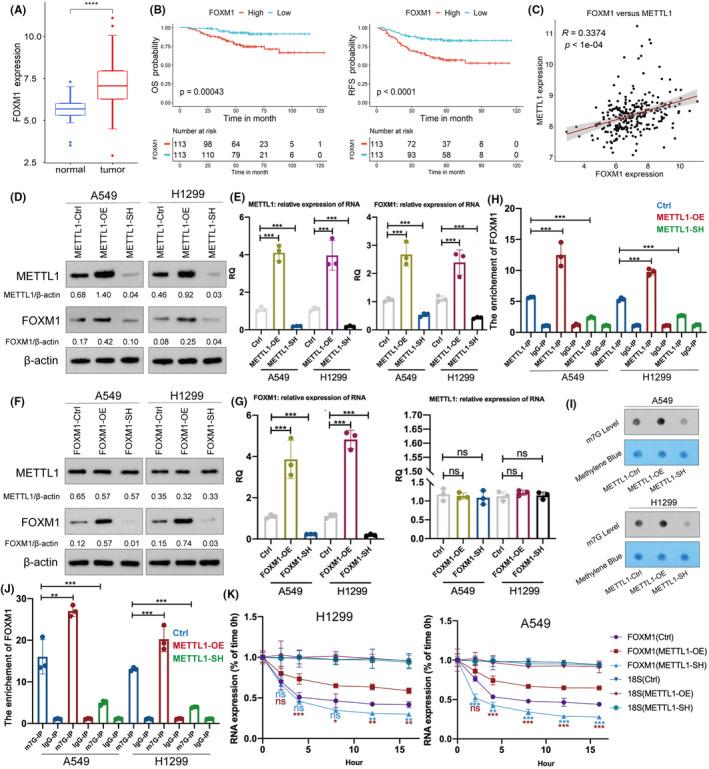 https://cdn.ncbi.nlm.nih.gov/pmc/blobs/2c9f/11225164/bc6519a4ad2d/CAM4-13-e7420-g005.jpg