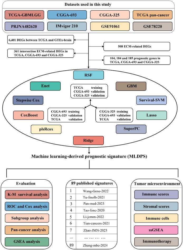 https://cdn.ncbi.nlm.nih.gov/pmc/blobs/2c9f/12331974/11c293f65c0c/41598_2025_13547_Fig1_HTML.jpg