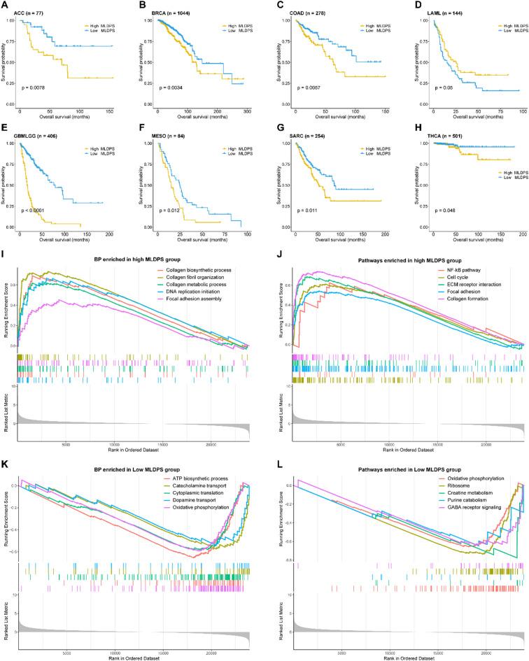 https://cdn.ncbi.nlm.nih.gov/pmc/blobs/2c9f/12331974/90b34f8a9a2f/41598_2025_13547_Fig6_HTML.jpg