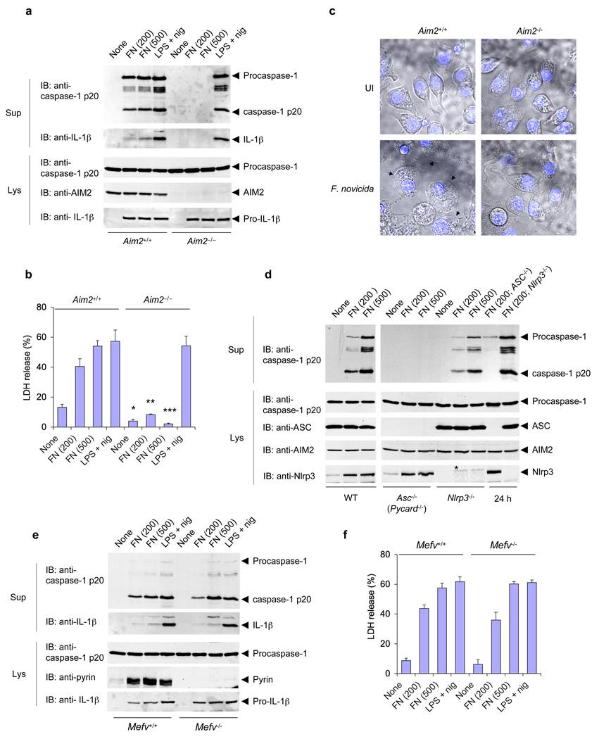 https://cdn.ncbi.nlm.nih.gov/pmc/blobs/2c9f/3111085/8e5de1feefcd/nihms184297f2.jpg