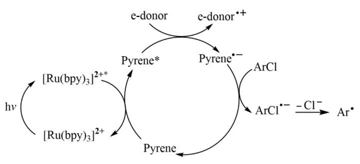 https://cdn.ncbi.nlm.nih.gov/pmc/blobs/2c9f/9458128/3a9bd819554c/molecules-27-05364-g007.jpg