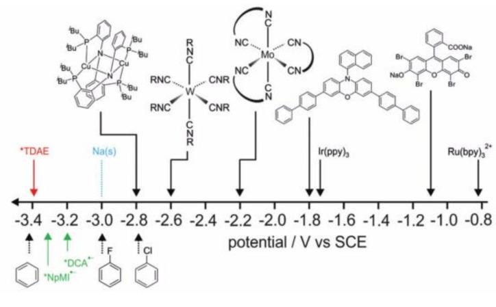 https://cdn.ncbi.nlm.nih.gov/pmc/blobs/2c9f/9458128/6c62f0093617/molecules-27-05364-g012.jpg