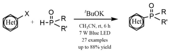 https://cdn.ncbi.nlm.nih.gov/pmc/blobs/2c9f/9458128/d547effd6f39/molecules-27-05364-g021.jpg