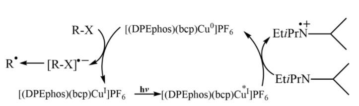 https://cdn.ncbi.nlm.nih.gov/pmc/blobs/2c9f/9458128/e79cd24c3d14/molecules-27-05364-g004.jpg