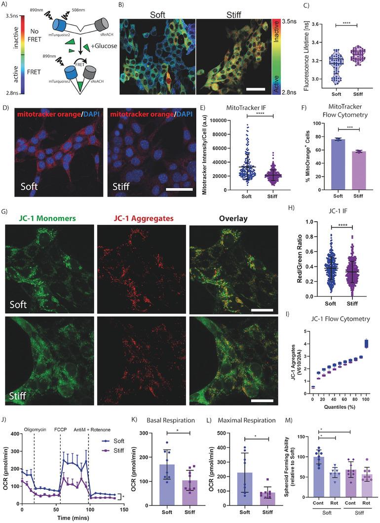 https://cdn.ncbi.nlm.nih.gov/pmc/blobs/2ca0/11186052/589c354b8f24/ADVS-11-2307963-g007.jpg