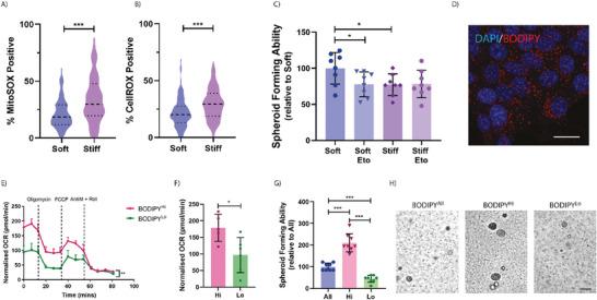 https://cdn.ncbi.nlm.nih.gov/pmc/blobs/2ca0/11186052/9f5b5741f0b2/ADVS-11-2307963-g002.jpg
