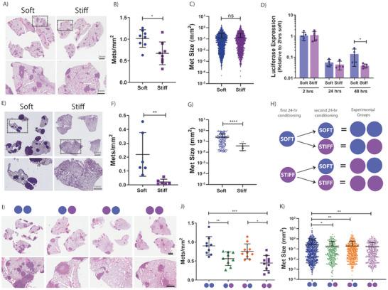https://cdn.ncbi.nlm.nih.gov/pmc/blobs/2ca0/11186052/ac7dc37808cc/ADVS-11-2307963-g006.jpg