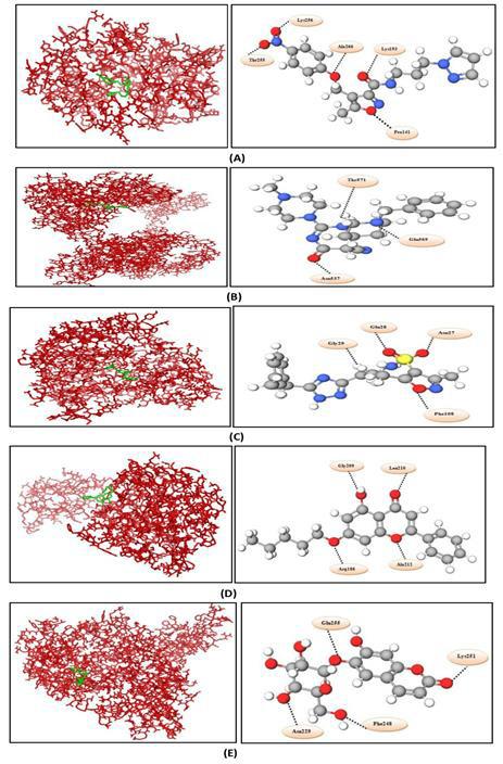 https://cdn.ncbi.nlm.nih.gov/pmc/blobs/2ca1/10859948/56cc2e2e1ab3/973206300200039F3.jpg
