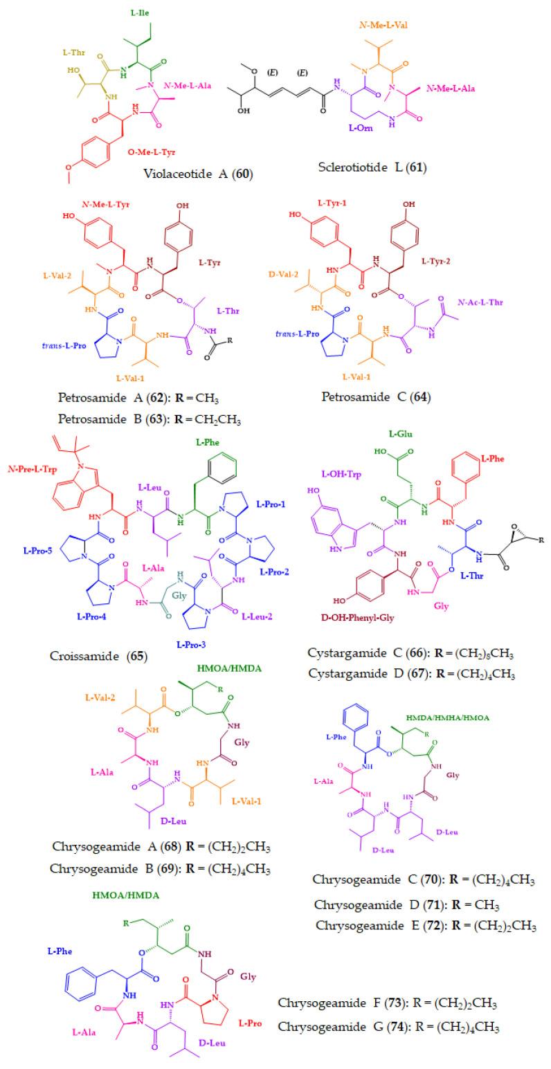 https://cdn.ncbi.nlm.nih.gov/pmc/blobs/2ca1/9867211/5b18137bd091/molecules-28-00615-g012.jpg