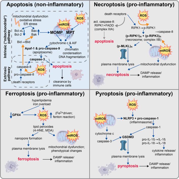 https://cdn.ncbi.nlm.nih.gov/pmc/blobs/2ca2/10541721/6c2fc54ba2c6/11658_2023_489_Fig2_HTML.jpg