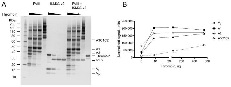 https://cdn.ncbi.nlm.nih.gov/pmc/blobs/2ca2/9330781/e2d853c15ef3/ijms-23-08134-g004.jpg