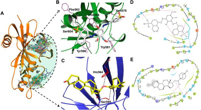 https://cdn.ncbi.nlm.nih.gov/pmc/blobs/2ca2/9395932/3501f0ea8e3c/fphar-13-847499-g002.jpg