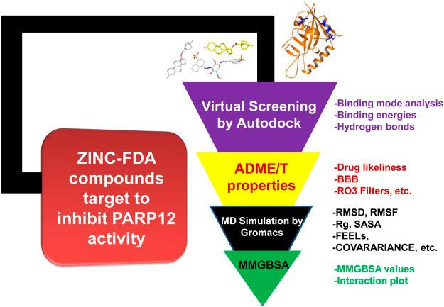 https://cdn.ncbi.nlm.nih.gov/pmc/blobs/2ca2/9395932/9c1d2ac04735/fphar-13-847499-g001.jpg