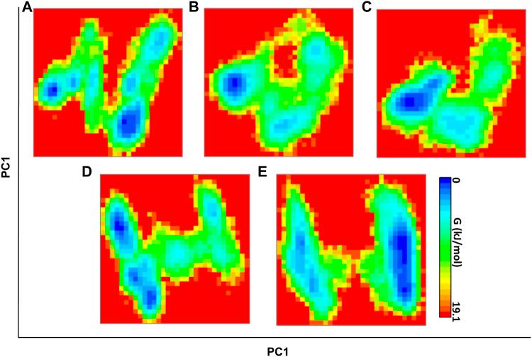 https://cdn.ncbi.nlm.nih.gov/pmc/blobs/2ca2/9395932/e369f27cca8a/fphar-13-847499-g006.jpg