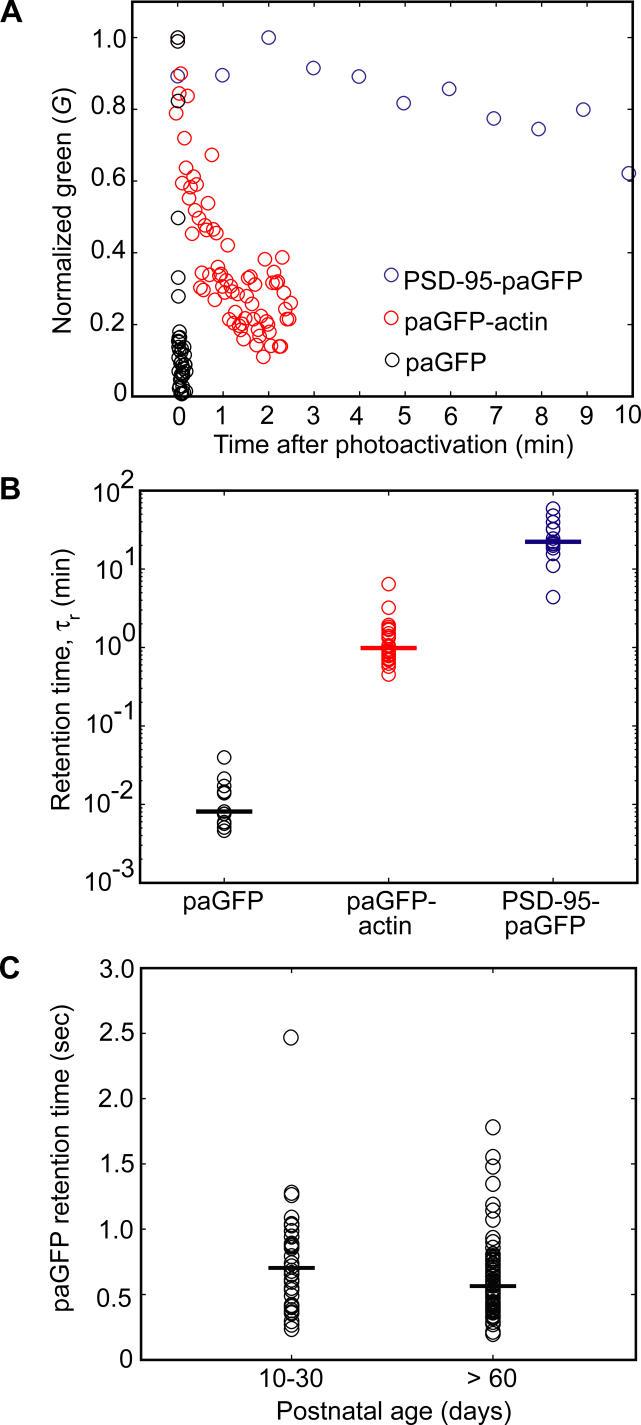 https://cdn.ncbi.nlm.nih.gov/pmc/blobs/2ca3/1637085/574029e342e0/pbio.0040370.g003.jpg