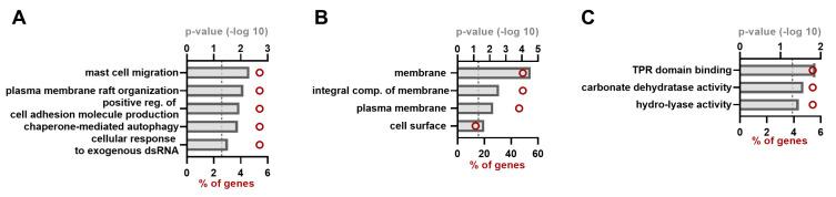 https://cdn.ncbi.nlm.nih.gov/pmc/blobs/2ca8/10748205/5470d96ac967/viruses-15-02412-g002.jpg