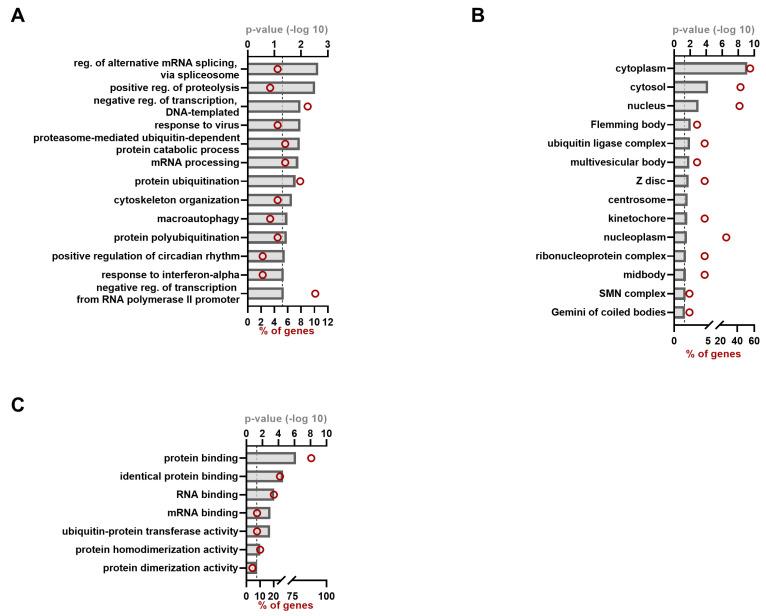 https://cdn.ncbi.nlm.nih.gov/pmc/blobs/2ca8/10748205/8845afbf2c86/viruses-15-02412-g004.jpg