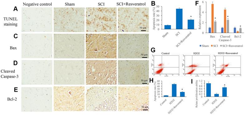 https://cdn.ncbi.nlm.nih.gov/pmc/blobs/2ca8/8580349/50c3c6fb2934/aging-13-203628-g003.jpg