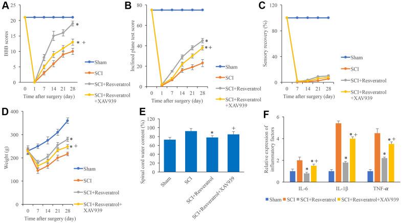 https://cdn.ncbi.nlm.nih.gov/pmc/blobs/2ca8/8580349/8d4316904c0d/aging-13-203628-g005.jpg