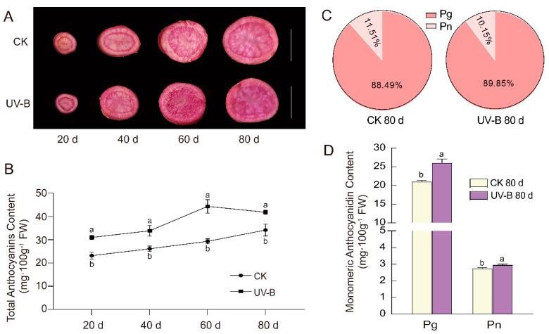 https://cdn.ncbi.nlm.nih.gov/pmc/blobs/2cac/10742819/c9146d057027/cimb-45-00621-g002.jpg