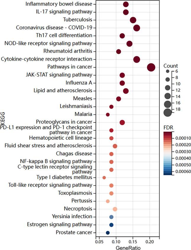 https://cdn.ncbi.nlm.nih.gov/pmc/blobs/2cac/11904070/21a5675ac192/12672_2025_2075_Fig6_HTML.jpg
