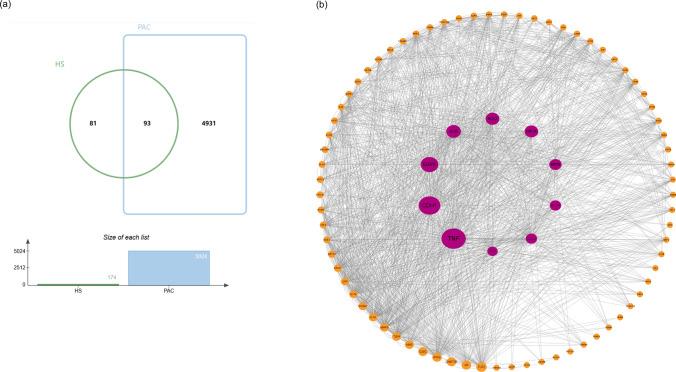 https://cdn.ncbi.nlm.nih.gov/pmc/blobs/2cac/11904070/b03463eb73d4/12672_2025_2075_Fig4_HTML.jpg