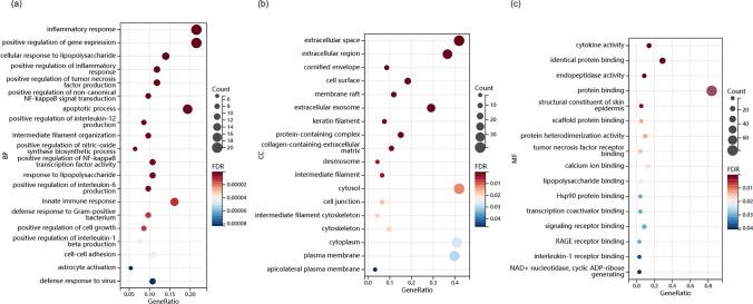 https://cdn.ncbi.nlm.nih.gov/pmc/blobs/2cac/11904070/d368cb0d10b1/12672_2025_2075_Fig5_HTML.jpg