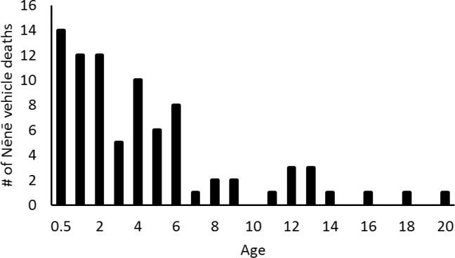 https://cdn.ncbi.nlm.nih.gov/pmc/blobs/2cad/6382094/5f3d64f179df/pone.0210180.g004.jpg