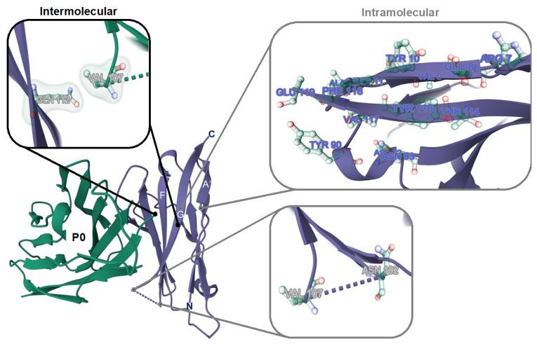 https://cdn.ncbi.nlm.nih.gov/pmc/blobs/2cb0/10296720/76402548c63e/biomolecules-13-00942-g005.jpg