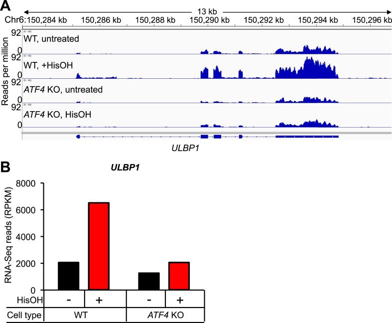 https://cdn.ncbi.nlm.nih.gov/pmc/blobs/2cb0/4629278/00def3fe267d/elife08474fs005.jpg