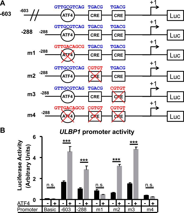 https://cdn.ncbi.nlm.nih.gov/pmc/blobs/2cb0/4629278/9be67022bc7a/elife08474fs008.jpg
