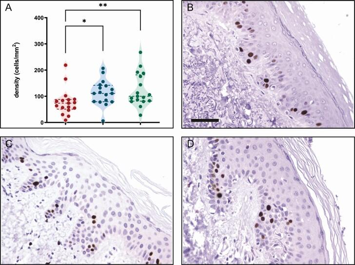 https://cdn.ncbi.nlm.nih.gov/pmc/blobs/2cb0/8922688/6dd0d8395d24/sjab280_fig3.jpg
