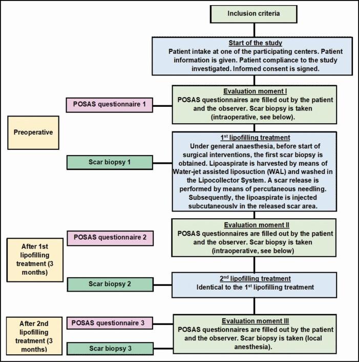 https://cdn.ncbi.nlm.nih.gov/pmc/blobs/2cb0/8922688/9eea6b39ceb0/sjab280_fig1.jpg