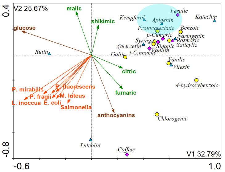 https://cdn.ncbi.nlm.nih.gov/pmc/blobs/2cb1/8156197/c9c6c7b1c3a9/molecules-26-02910-g002.jpg