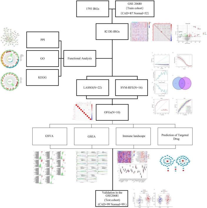 https://cdn.ncbi.nlm.nih.gov/pmc/blobs/2cb1/9853173/c8fba1c0e738/fcvm-09-1055422-g001.jpg