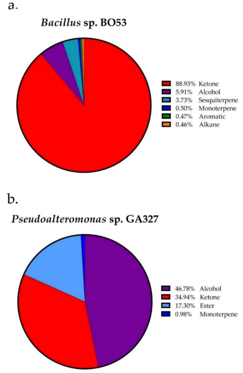 https://cdn.ncbi.nlm.nih.gov/pmc/blobs/2cb4/7766662/4e7f8f41b222/antibiotics-09-00923-g001.jpg