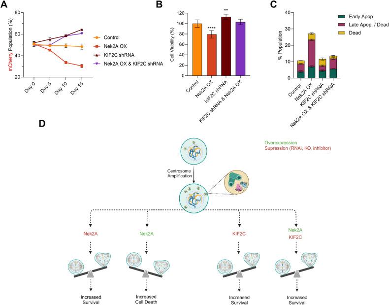 https://cdn.ncbi.nlm.nih.gov/pmc/blobs/2cb6/10944510/80177307256e/41419_2024_6601_Fig6_HTML.jpg
