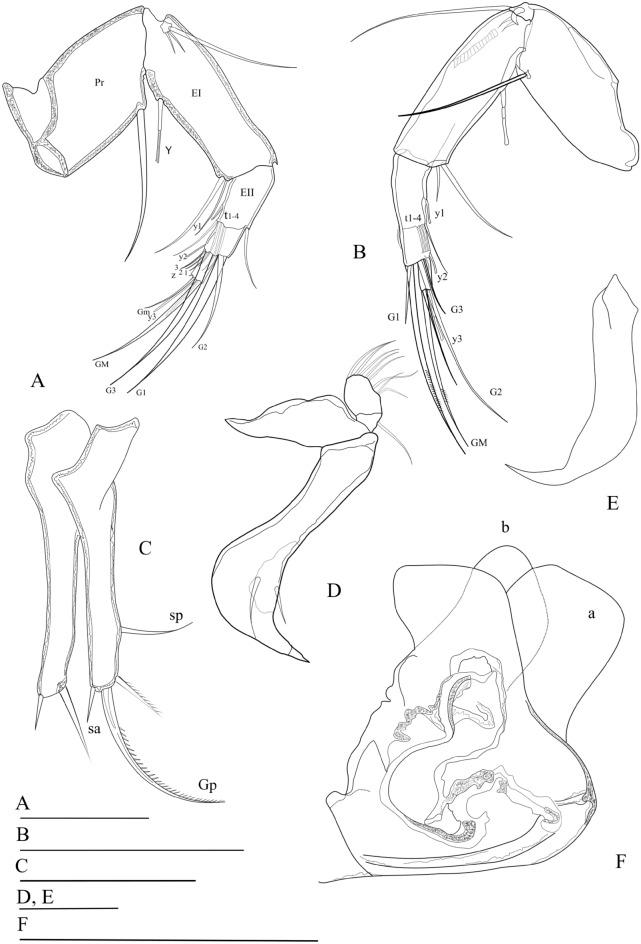 https://cdn.ncbi.nlm.nih.gov/pmc/blobs/2cb7/10104858/5d046c62a2b1/41598_2023_32573_Fig2_HTML.jpg