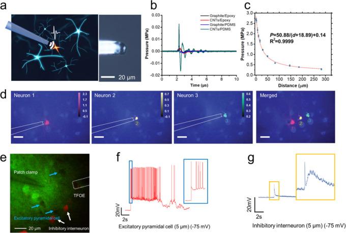 https://cdn.ncbi.nlm.nih.gov/pmc/blobs/2cb9/11154953/039fc7dc4a5e/ar4c00119_0003.jpg