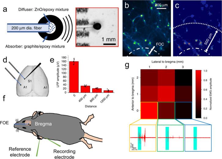 https://cdn.ncbi.nlm.nih.gov/pmc/blobs/2cb9/11154953/3da406ee19bc/ar4c00119_0002.jpg
