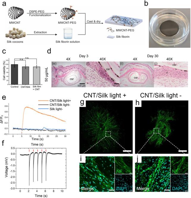https://cdn.ncbi.nlm.nih.gov/pmc/blobs/2cb9/11154953/bf0da08a2e10/ar4c00119_0004.jpg