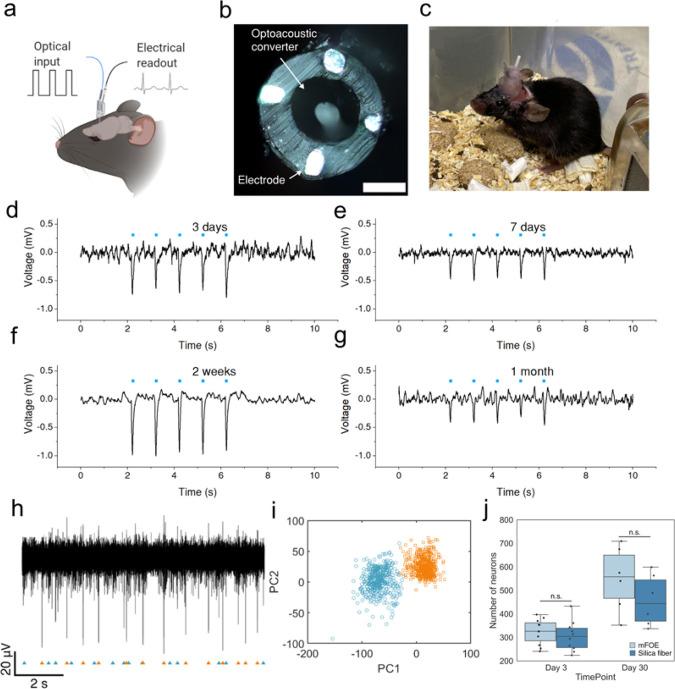 https://cdn.ncbi.nlm.nih.gov/pmc/blobs/2cb9/11154953/deb184593846/ar4c00119_0005.jpg