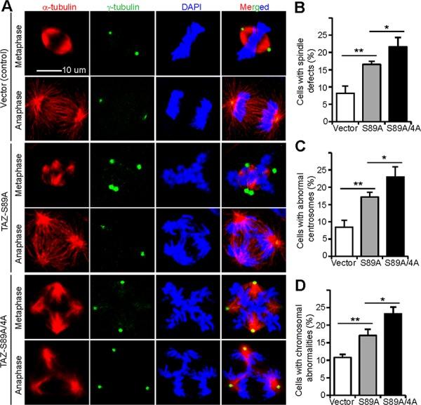 https://cdn.ncbi.nlm.nih.gov/pmc/blobs/2cba/4741614/0d3cf6100045/oncotarget-06-31399-g006.jpg