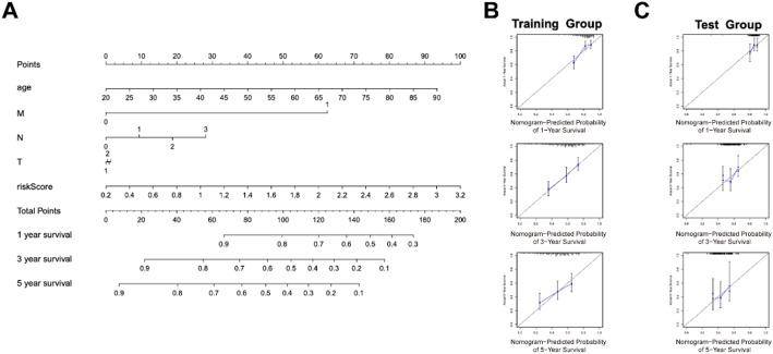 https://cdn.ncbi.nlm.nih.gov/pmc/blobs/2cbb/12334390/02ae03d4e66e/12672_2025_3372_Fig3_HTML.jpg
