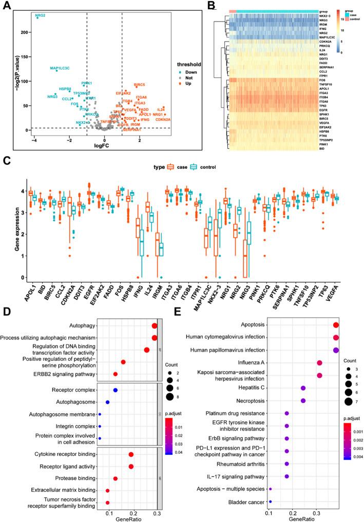 https://cdn.ncbi.nlm.nih.gov/pmc/blobs/2cbb/12334390/0fc1257f4aca/12672_2025_3372_Fig1_HTML.jpg