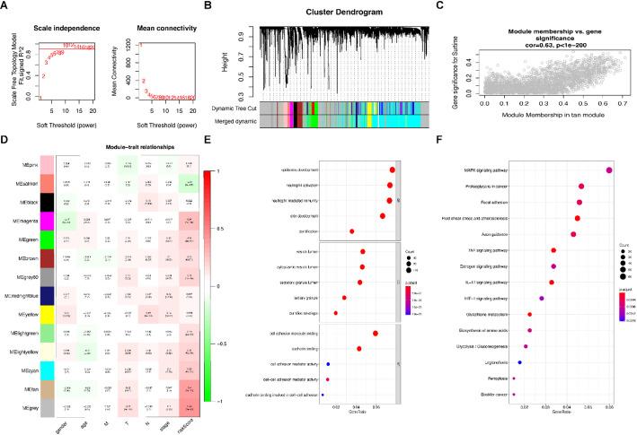 https://cdn.ncbi.nlm.nih.gov/pmc/blobs/2cbb/12334390/4c3287da729f/12672_2025_3372_Fig4_HTML.jpg