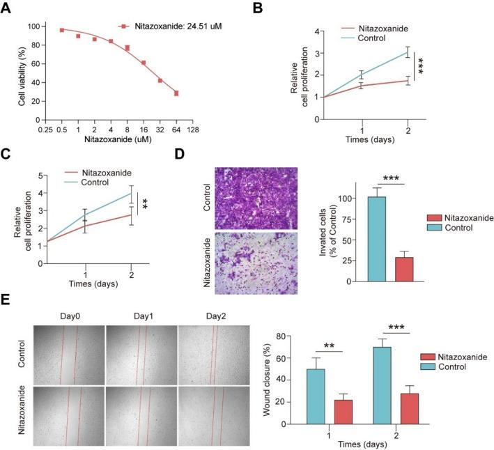 https://cdn.ncbi.nlm.nih.gov/pmc/blobs/2cbb/12334390/cdf4b79588bf/12672_2025_3372_Fig6_HTML.jpg