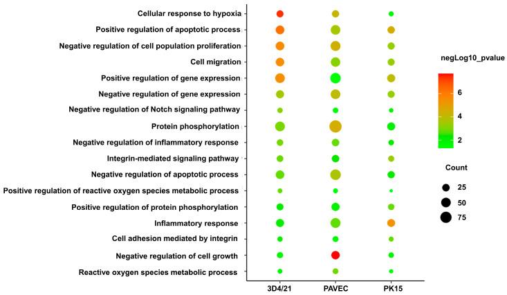 https://cdn.ncbi.nlm.nih.gov/pmc/blobs/2cbf/11353251/a18fa8d4757b/genes-15-01094-g004.jpg