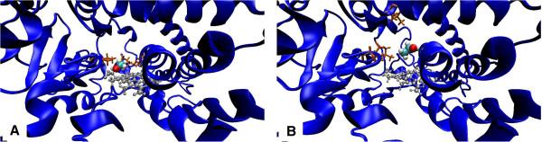 https://cdn.ncbi.nlm.nih.gov/pmc/blobs/2cc0/3544703/556176b48b5c/1472-6807-12-33-3.jpg