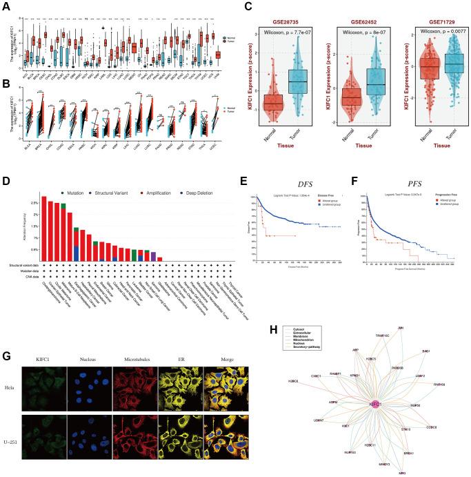 https://cdn.ncbi.nlm.nih.gov/pmc/blobs/2cc2/10781448/6882d9fa49ed/aging-15-205311-g001.jpg